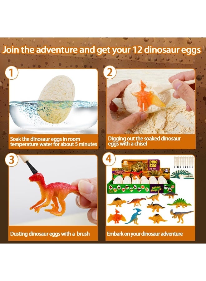 Dino Eggs Dig Kit, 12 Dinosaur Egg Pack Science Education Excavation Set for Ages 3 and up,Dinosaur Science Preschool Archaeology Craft Gifts for Boys and Girls - Image 5